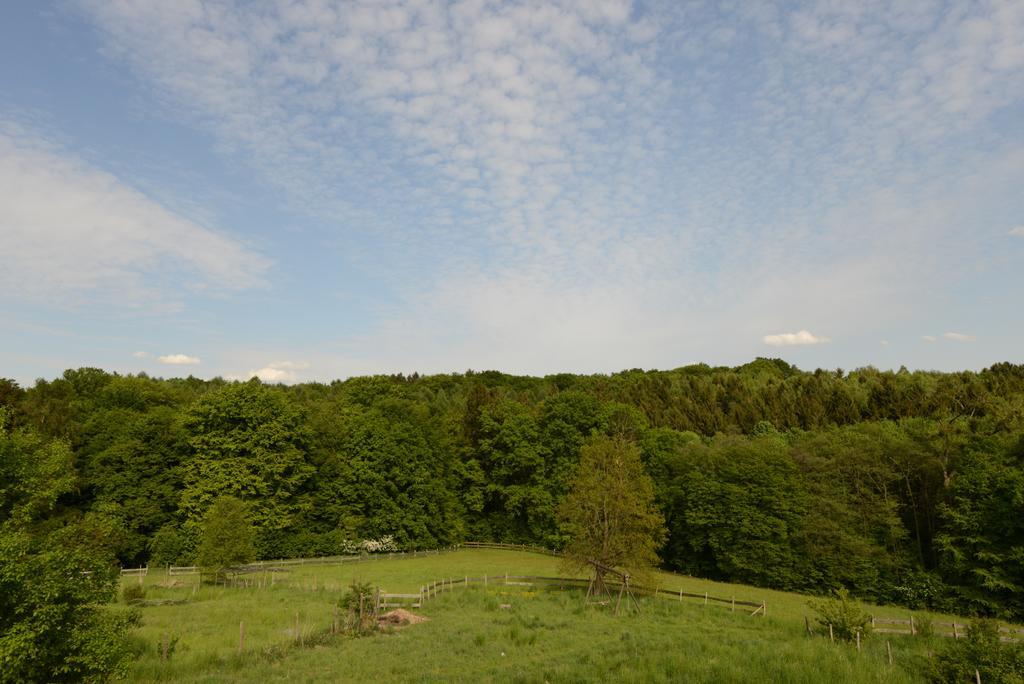 Quiet Nature Near Cologne 1 Bergisch Gladbach Exterior photo